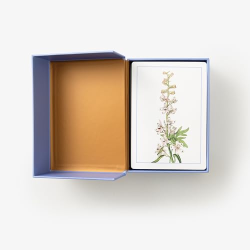 New York Botanical Garden Wildflower Identification Flashcards