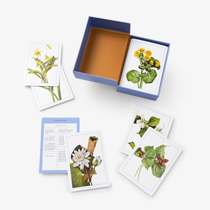 New York Botanical Garden Wildflower Identification Flashcards