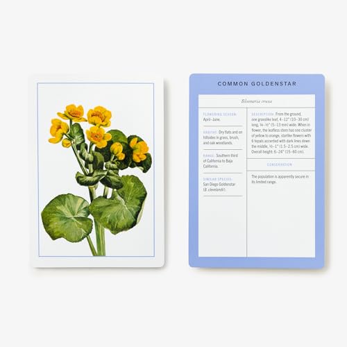 New York Botanical Garden Wildflower Identification Flashcards