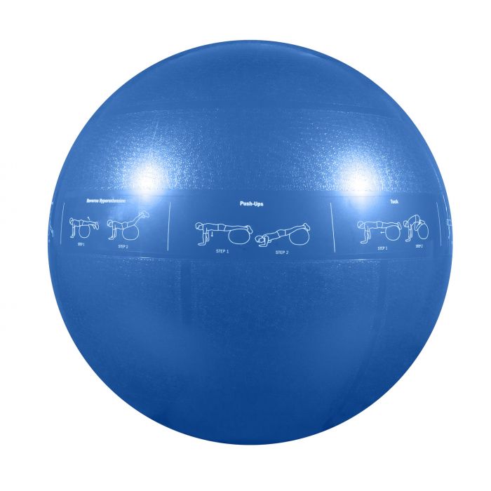 Stability Ball Pro - 55cm